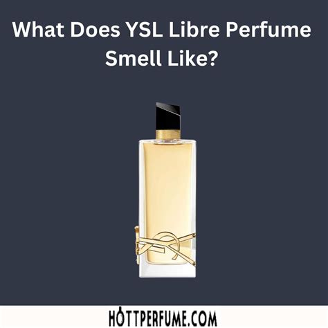 what does ysl smell like